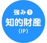 強み(1)知的財産(IP)